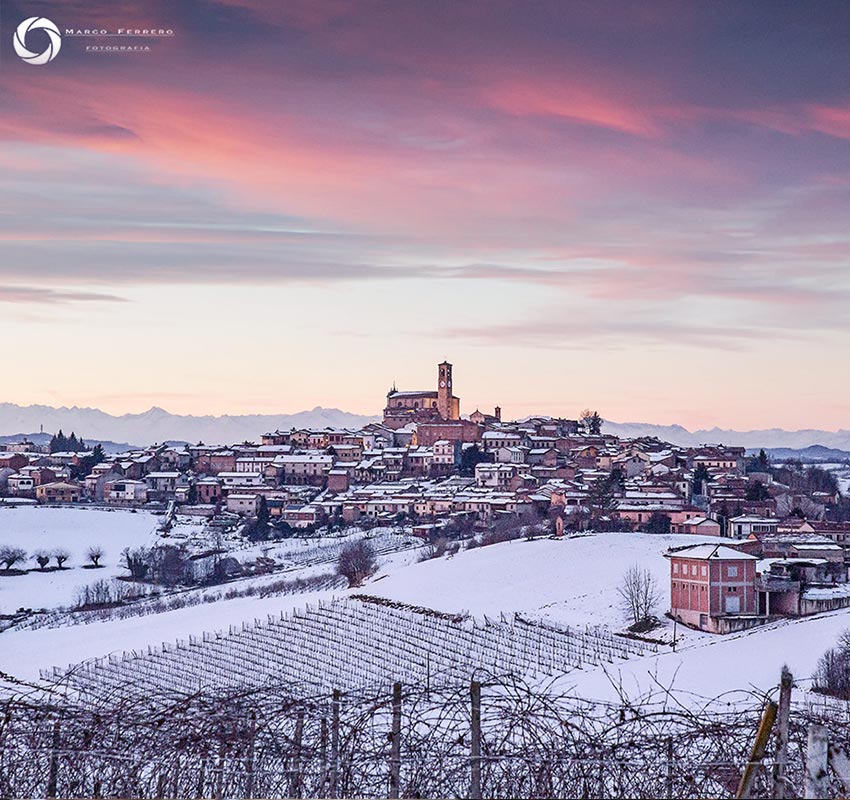 grana monferrato
